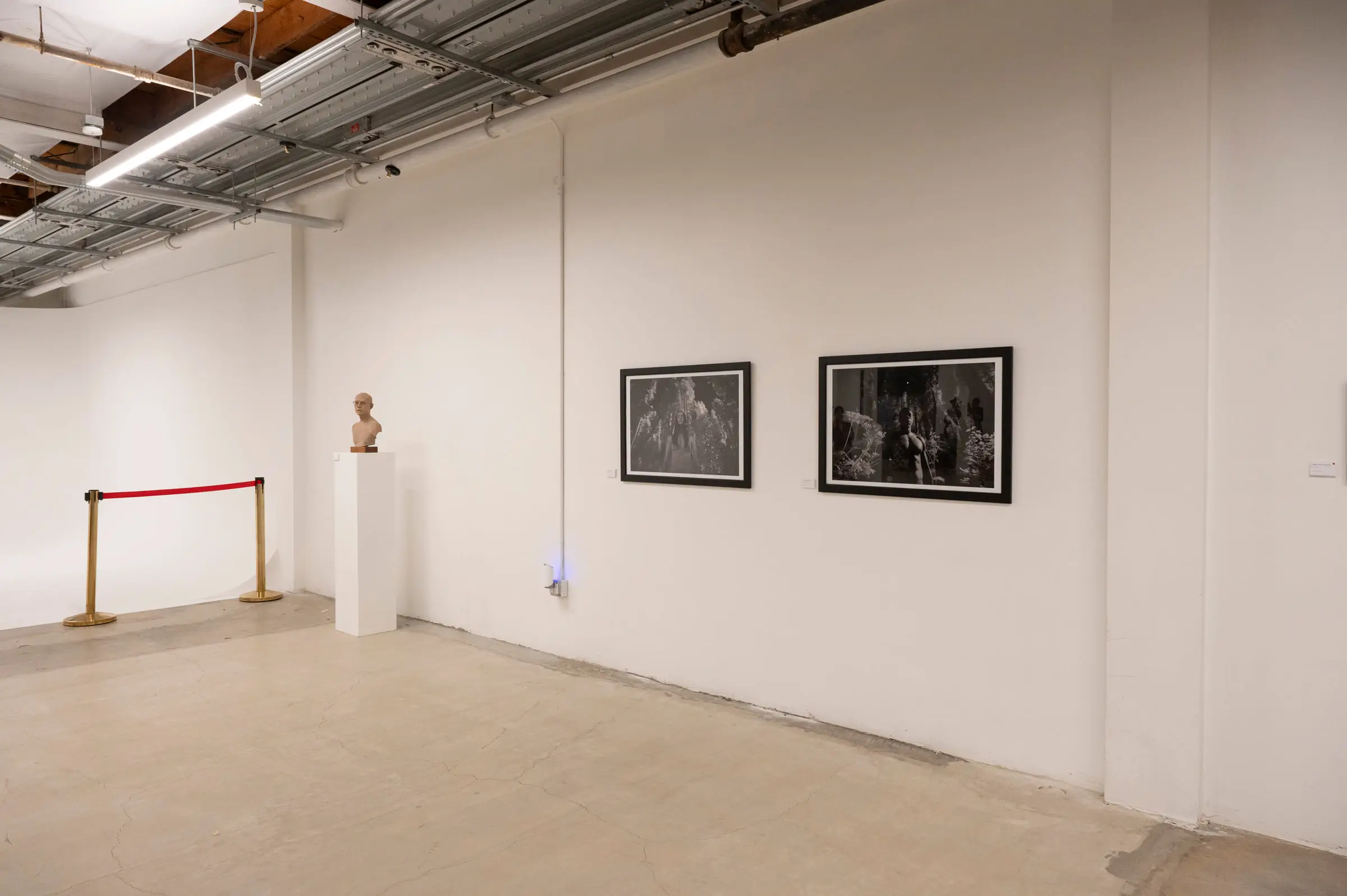 A carved bust on a plinth beside two framed black and white photographs, with a rope stanchion at the edge of the white cyclorama.