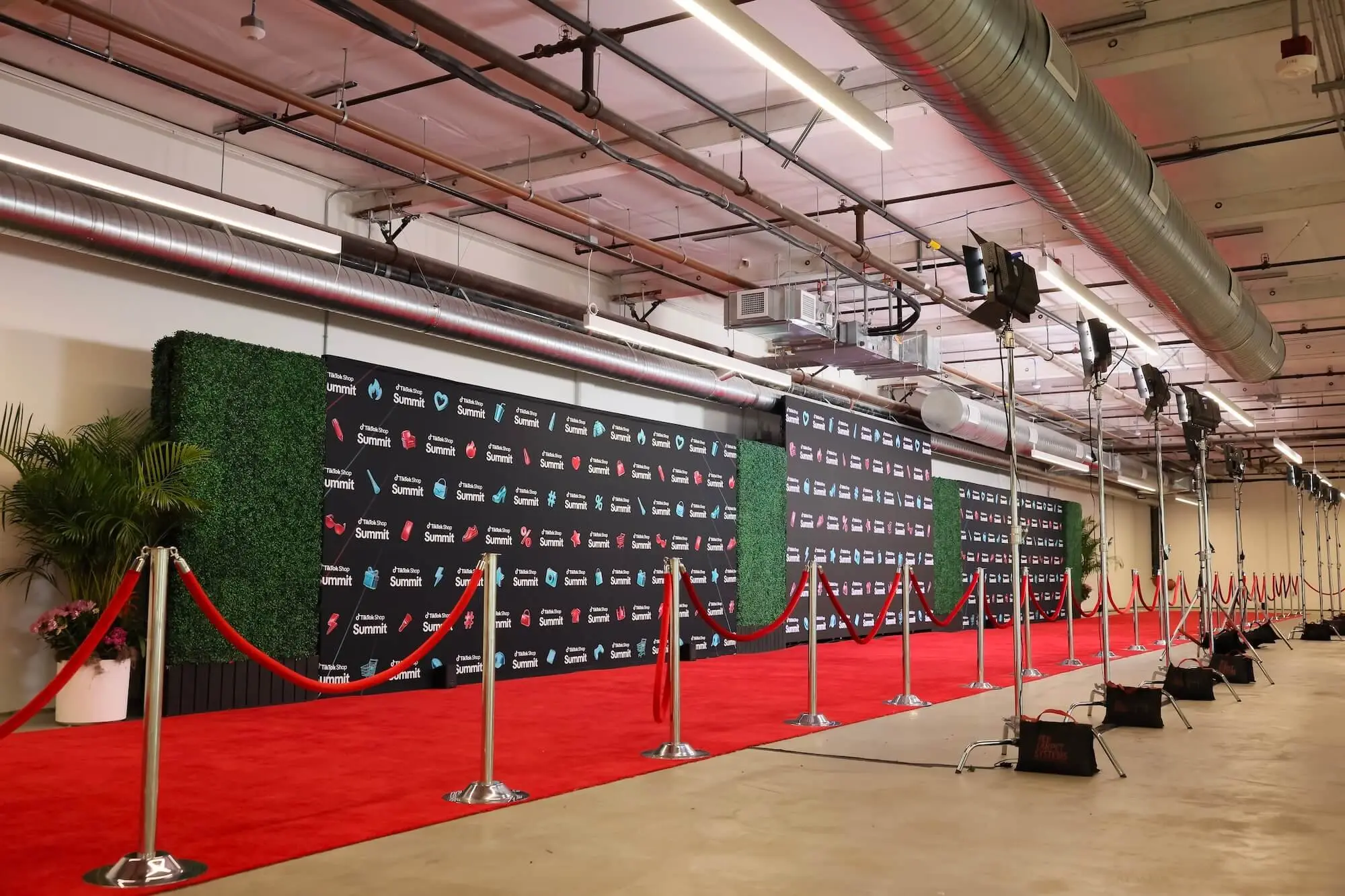 A red carpet run with a hedge wall and a printed backdrop, stanchions along the edge, and lights on stands aimed at the wall.