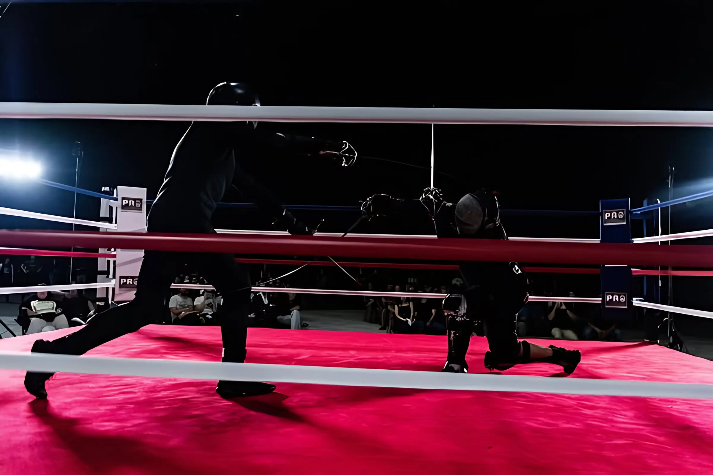 Two masked fighters at full extension across the red canvas, the crowd seated along the ropes behind them.